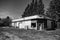 Abandoned garage surrounded by pine trees