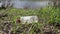 Abandoned garbage plastic and glass waste in nature among the grass. Environmental damage caused by human garbage