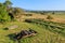 Abandoned gold mining tramway and ore cart, New Zealand