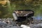 Abandoned gran piano, rundown piano by a river bank Vilnia river in Uzupis artists quarter in Vilnius, Lithuania, bohemian