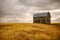 Abandoned granary in the green field.