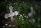 Abandoned grave cross on the blurred background of a grass and f