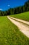 Abandoned Gravel Road through Forest-Covered Valley in Austria