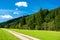 Abandoned Gravel Road through Forest-Covered Valley in Austria