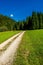 Abandoned Gravel Road through Forest-Covered Valley in Austria