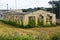 Abandoned Greenhouse