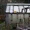 Abandoned greenhouse in winter