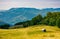 Abandoned herdsman shed on hillside near forest