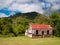 Abandoned historical cabin