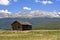 Abandoned Home at Base of Mt. Massive