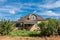 Abandoned home surrounded by shrubs outside Gull Lake, SK