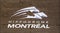 Abandoned Horse Track logo