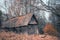 Abandoned house in the autumn grove