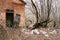 Abandoned House In Belarusian village. Chornobyl