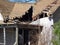 Abandoned House with a Collapsed Roof.