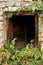 Abandoned house entrance