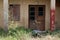 Abandoned house front entrance with boarded window on wall with cracked dilapidated facade with overgrown grass and other plants