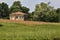 Abandoned house in a grove with a field of poppies in front of it in the italian countryside in summer