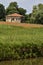 Abandoned house in a grove with a field of poppies in front of it in the italian countryside in summer