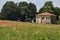 Abandoned house in a grove with a field of poppies in front of it in the italian countryside in summer