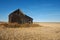 Abandoned house in harvested wheat field in fall