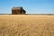 Abandoned house in harvested wheat fieldfall