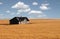 Abandoned house in prairie wheat field.