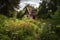 abandoned house with the remains of a once-thriving garden, now overgrown and forgotten