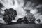 Abandoned house in West Ukraine.Old spooky abandoned farm house in black-white color. An old, long-abandoned house,against the bac