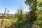 Abandoned hunting shack. Spring landscape