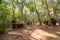 Abandoned hut cottage political military school, Phu Hin Rong Kla National Park, Phitsanulok, Thailand. Historical and Natural