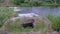 Abandoned hydroelectric power station on river waterfall with streaming current.