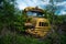 Abandoned International Harvester School Bus in Forest - New York