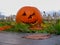 Abandoned jack-o'-lantern sitting in the grass in a park