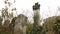 Abandoned Jewish cemetery. Close-up of old, destroyed and forgotten graves.