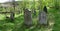 An abandoned Jewish cemetery in RabÅ¡tejn nad StÅ™edlou in the Czech Republic