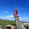 And abandoned knitted glove on a wooden fence post