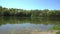 abandoned lake pond in the forest