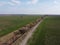 Abandoned land reclamation canal in the field, aerial view. Agricultural landscape