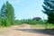 An abandoned large wooden hangar overgrown with young fir trees at the end of the road in the Northern village