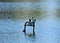 Abandoned Lifeguard`s Chair Sinking into the Lake