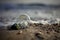 Abandoned light bulbs on the beach