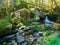 Abandoned little house or mill in the forest in Vale do Douro, P