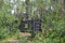 Abandoned log cabin with a dirt trail in Miners Delight Wyoming, a former mining town and camp, now a ghost town