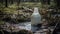 Abandoned Milk Bottle In Forest: Provia-inspired Photo By Alastair Magnaldo