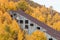 Abandoned Mine in Aspen Grove with Yellow Leaves