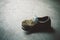 Abandoned moss-grown shoe