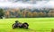 Abandoned motorbike on a meadow