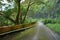 Abandoned mountain road in a rainforest. Native indigenous forests of Oahu near the old Pali Highway Crossing in Hawaii