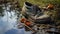 Abandoned Mud Shoe: A Detailed Portrait Of Decay In The Swamp